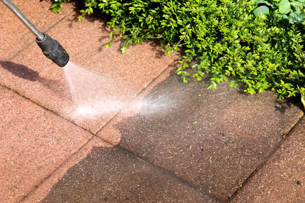Best Roof Pressure Washing  in Bristol, CT